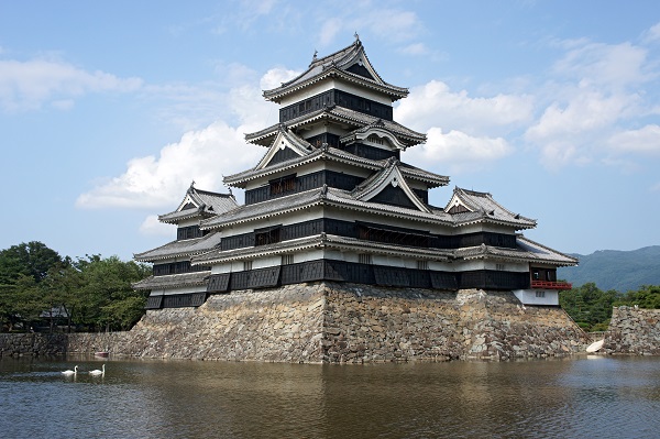 Bronze Carp Castle.jpg